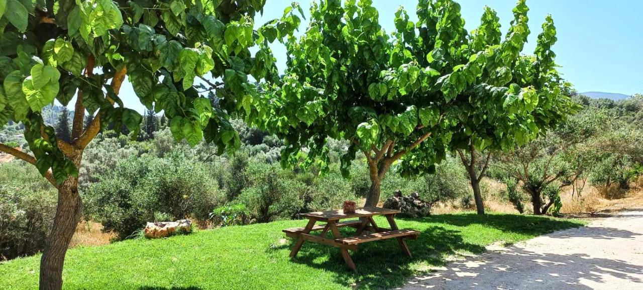 Lily Home_Lefkada ~ Private Country House Kondaraina Ngoại thất bức ảnh