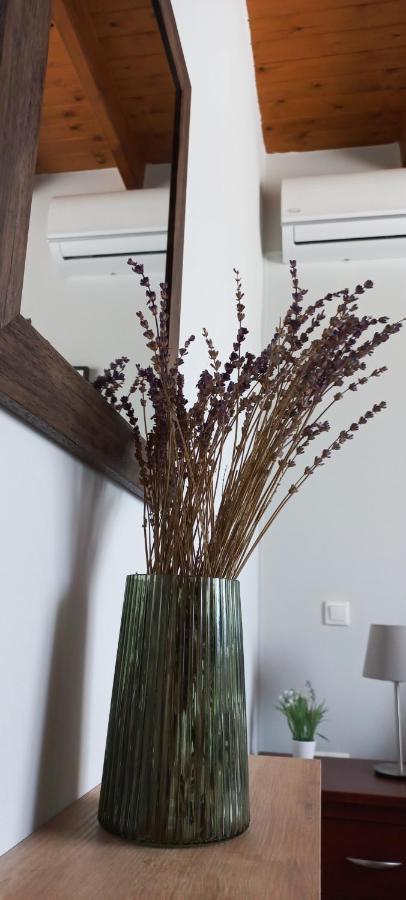 Lily Home_Lefkada ~ Private Country House Kondaraina Ngoại thất bức ảnh