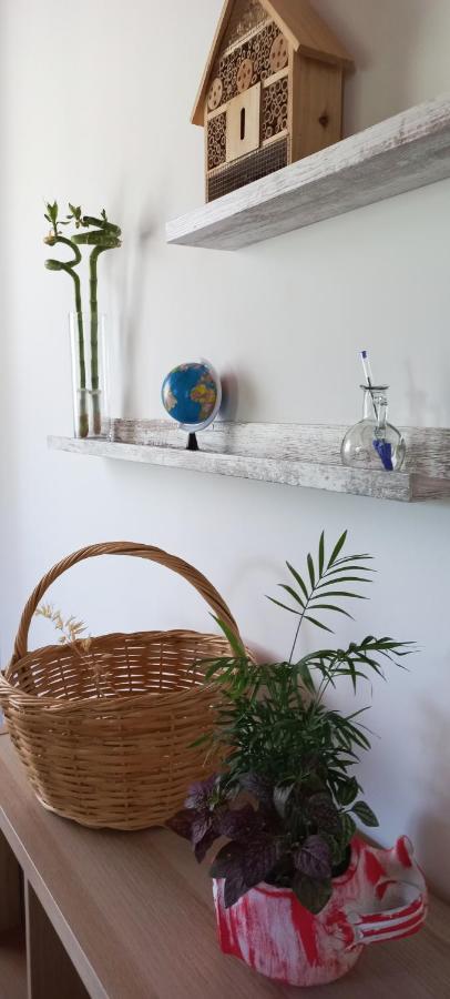 Lily Home_Lefkada ~ Private Country House Kondaraina Ngoại thất bức ảnh