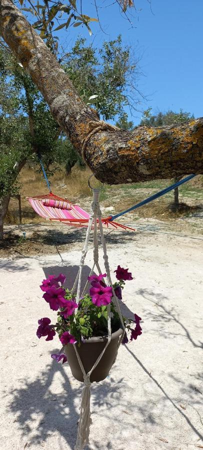 Lily Home_Lefkada ~ Private Country House Kondaraina Ngoại thất bức ảnh