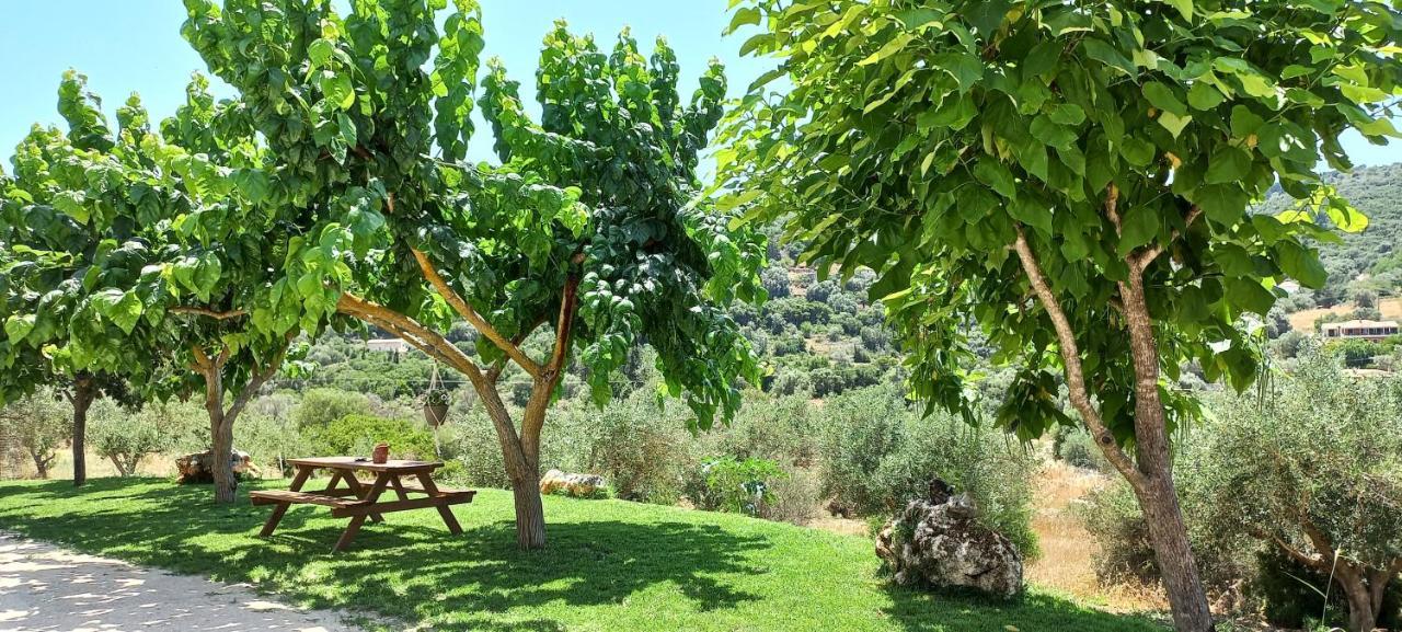 Lily Home_Lefkada ~ Private Country House Kondaraina Ngoại thất bức ảnh