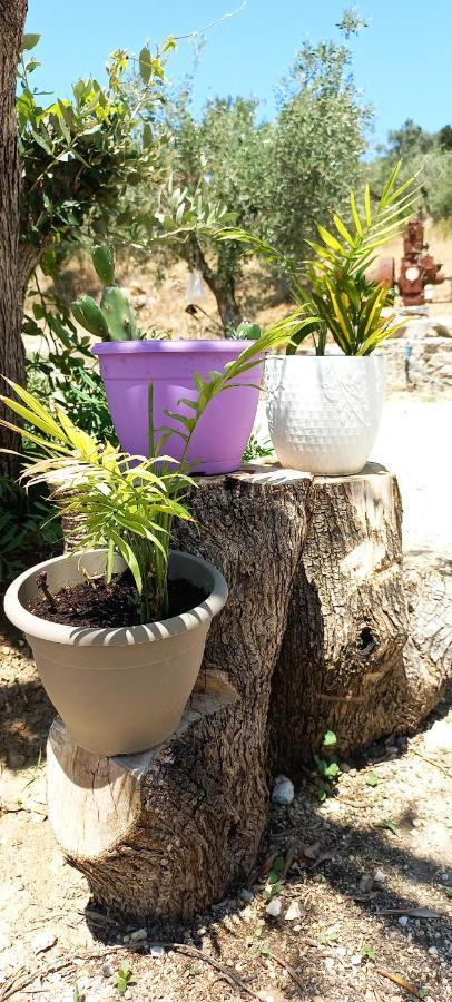 Lily Home_Lefkada ~ Private Country House Kondaraina Ngoại thất bức ảnh