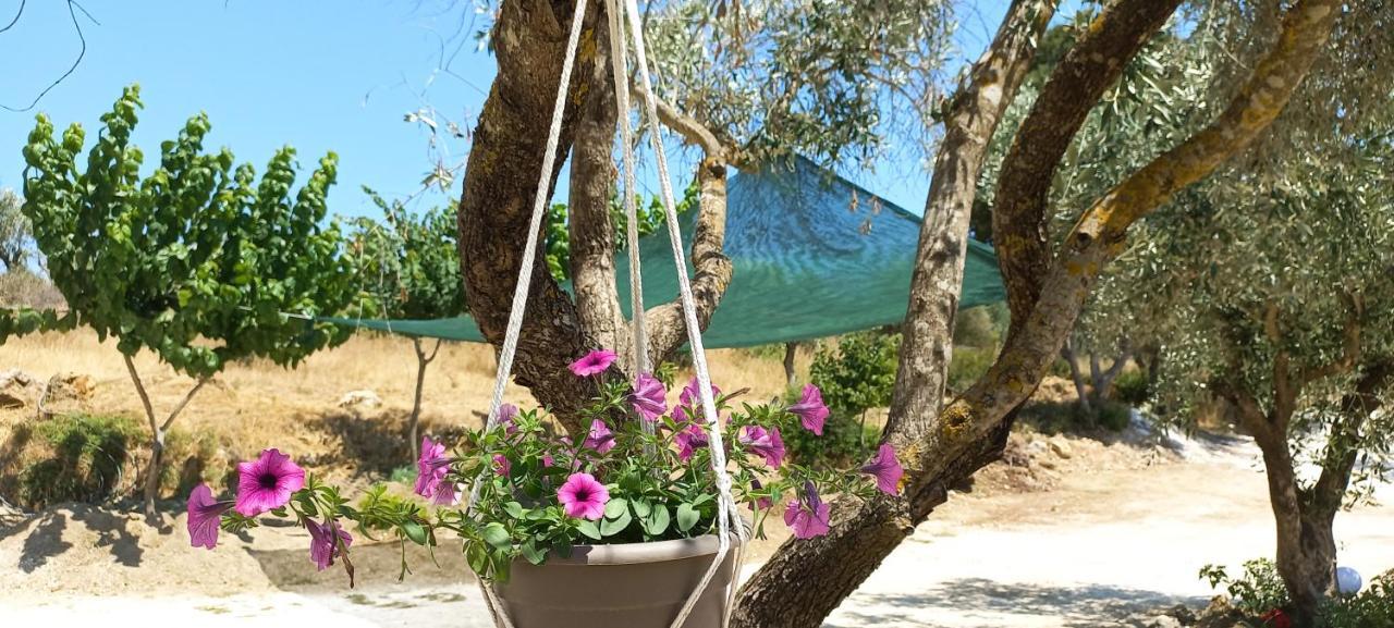 Lily Home_Lefkada ~ Private Country House Kondaraina Ngoại thất bức ảnh