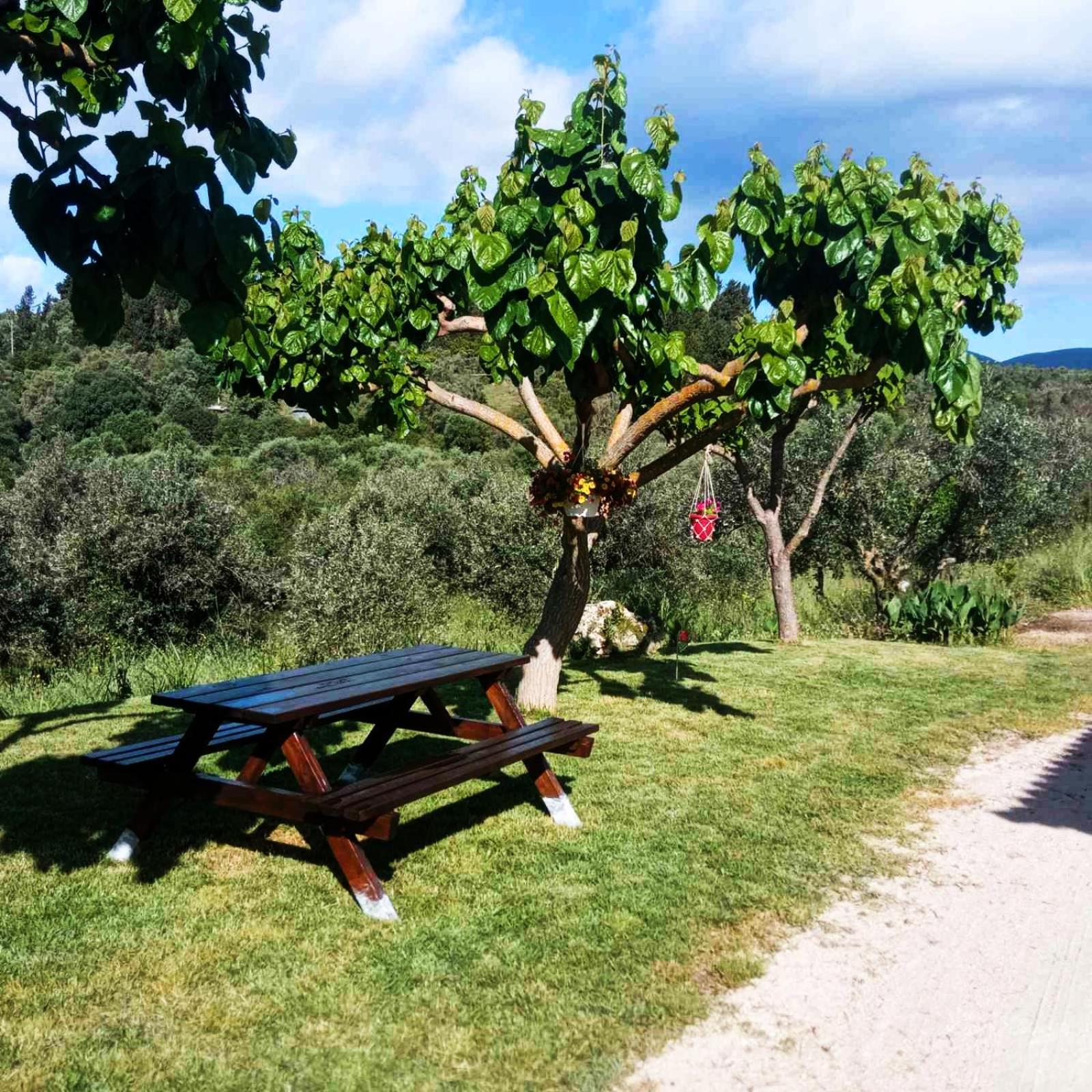 Lily Home_Lefkada ~ Private Country House Kondaraina Ngoại thất bức ảnh