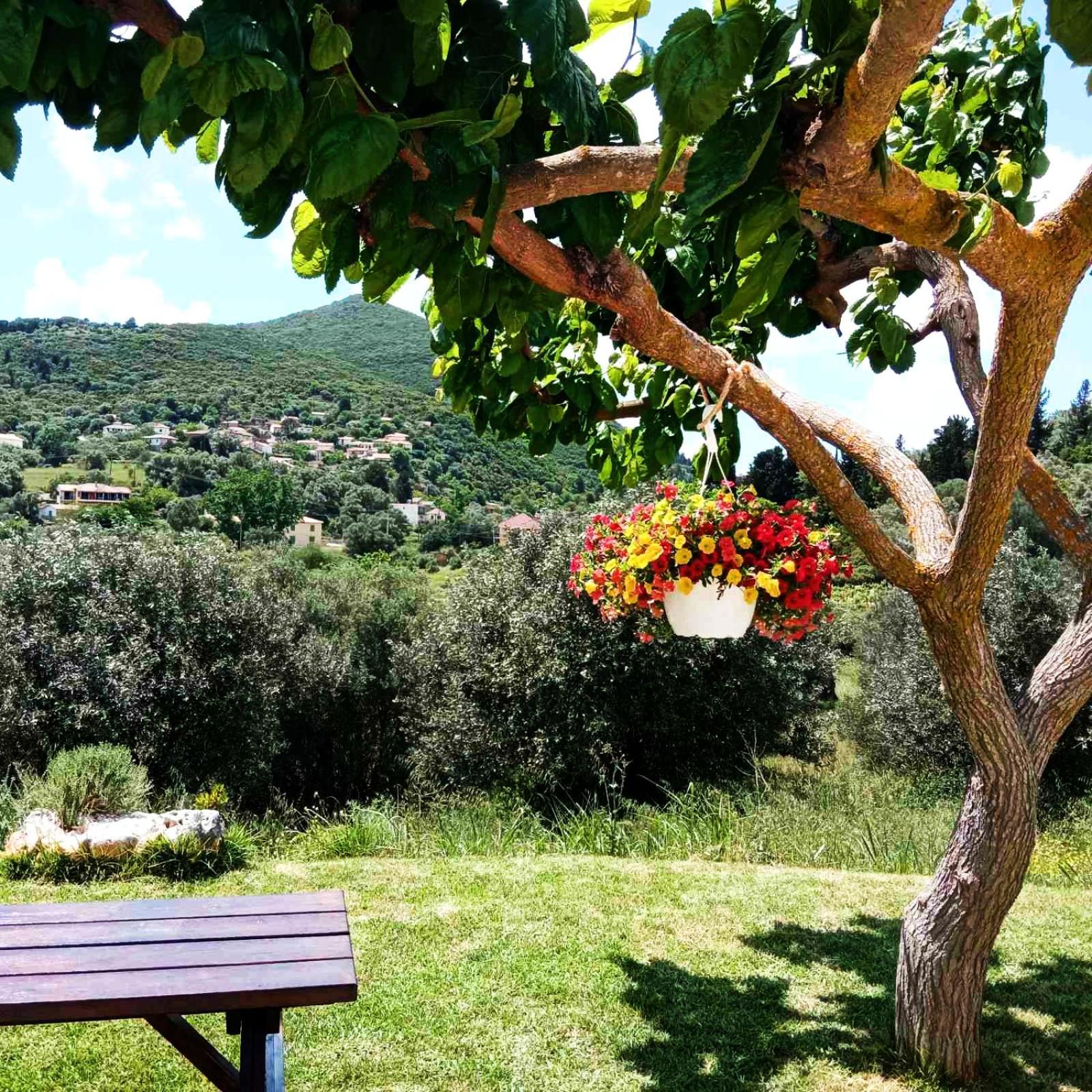 Lily Home_Lefkada ~ Private Country House Kondaraina Ngoại thất bức ảnh